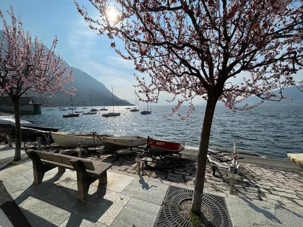 Il Sole Di Calde Lago Maggiore 504 Castelveccana Экстерьер фото